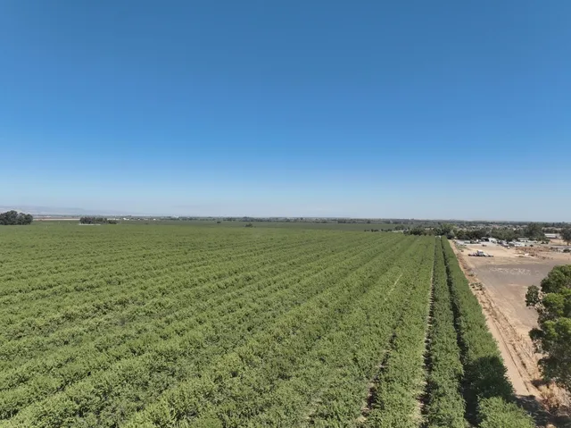 a view of a yard with wooden fence