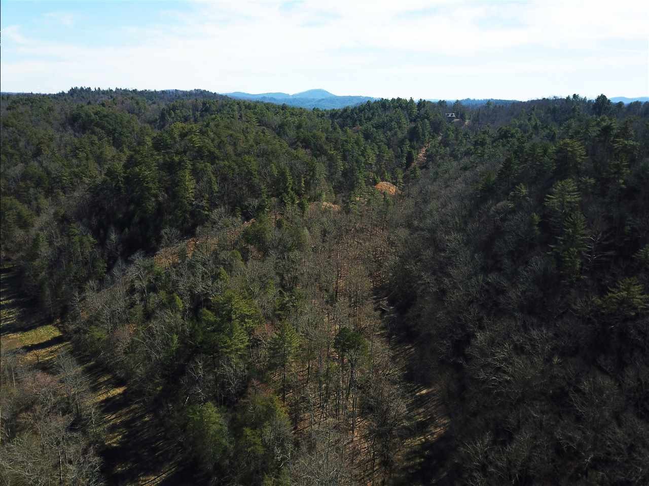 0 Towee Pike Reliance, TN 37369 - Photo 38 of 41