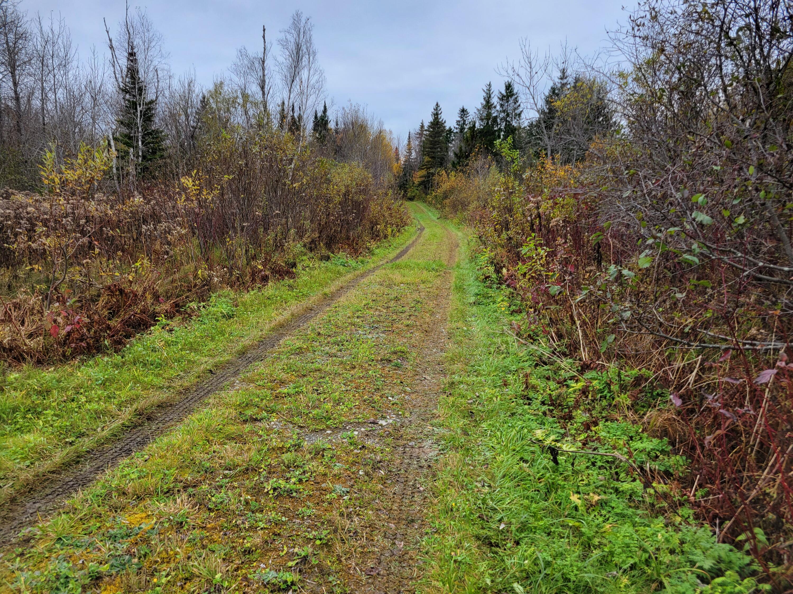 Map7-lot5 Hamlin Road Van Buren, ME 04785 - Photo 14 of 19 7