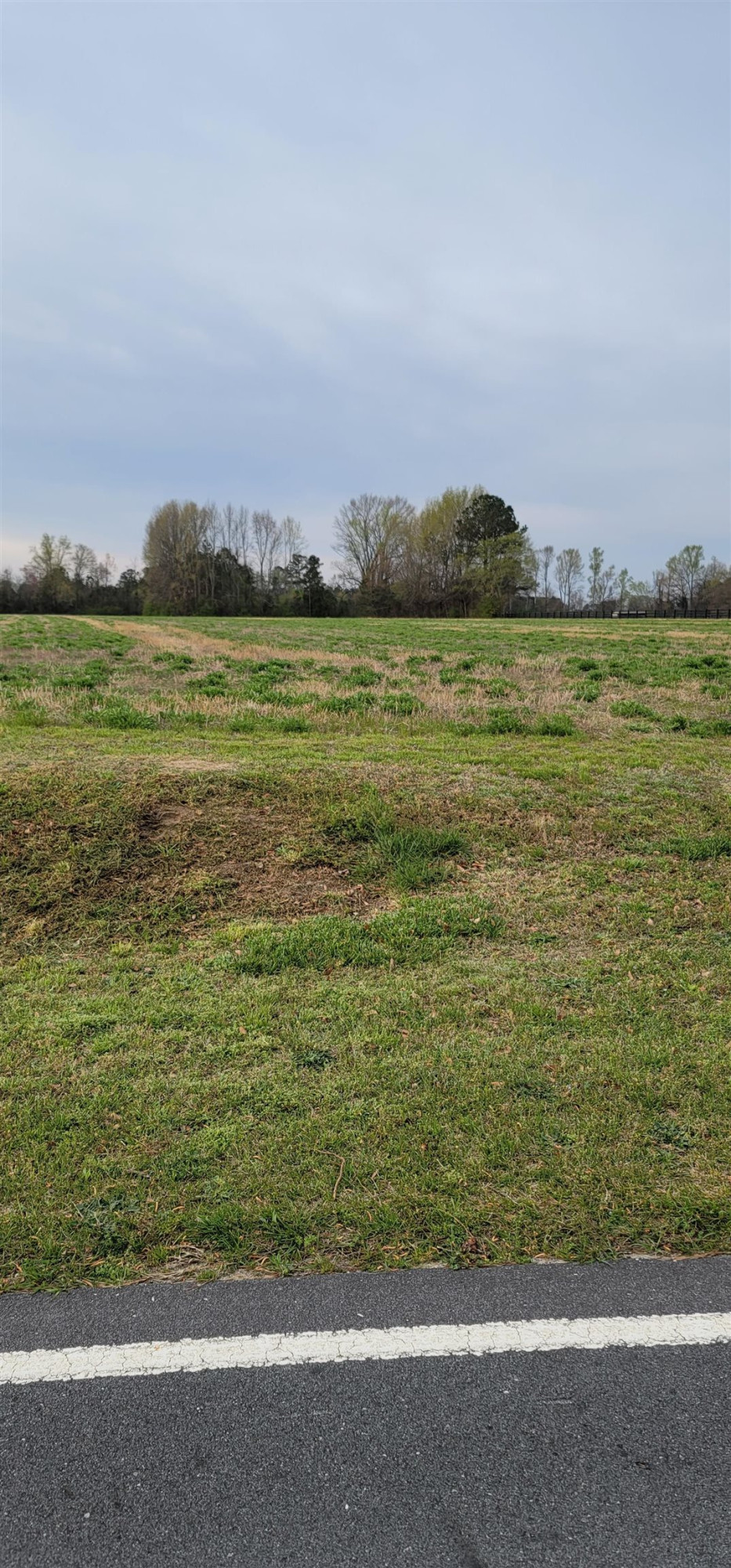 0 Allens Crossroads Road Four Oaks, NC 27524 - Photo 4 of 5 Photo 4