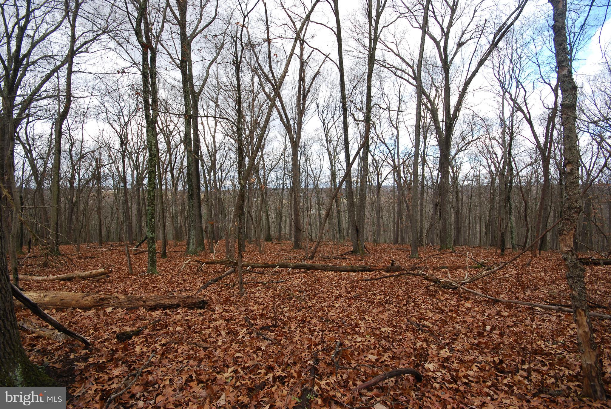 Lot 70-71 Mill Mountain Road Romney, WV 26757 - Photo 37 of 52