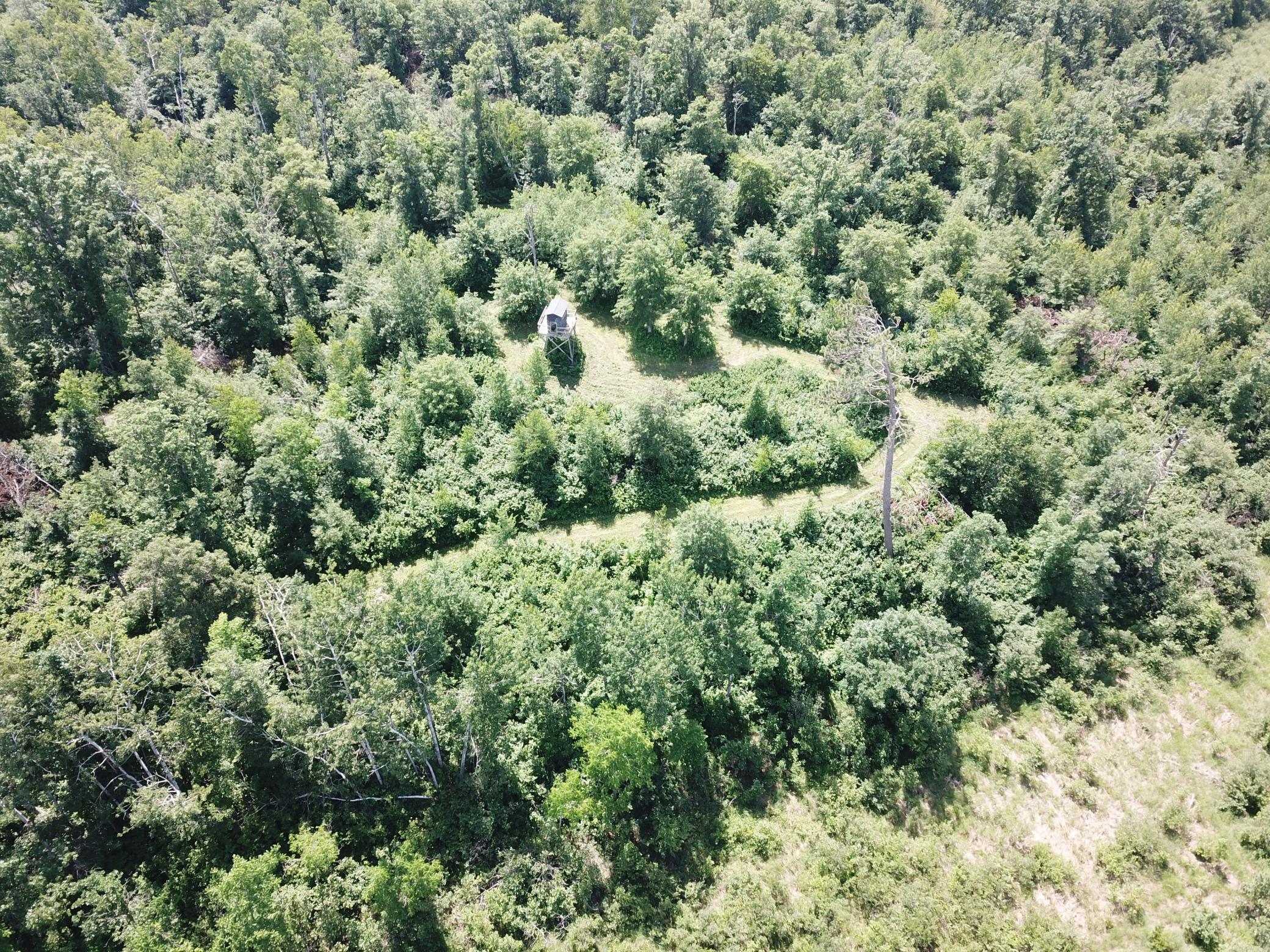 Tbd Boot Lake Road Southwest Bemidji, MN 56601 - Photo 15 of 55