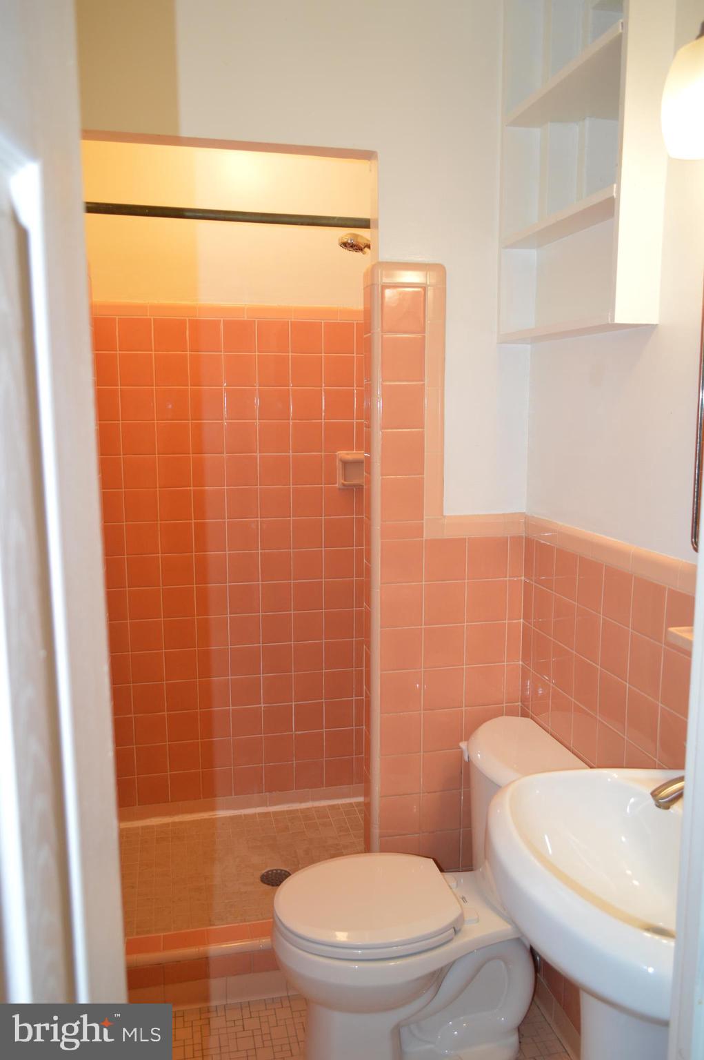 10110 Portland Road Silver Spring, MD 20901 - Photo 16 of 39 Owner's bath