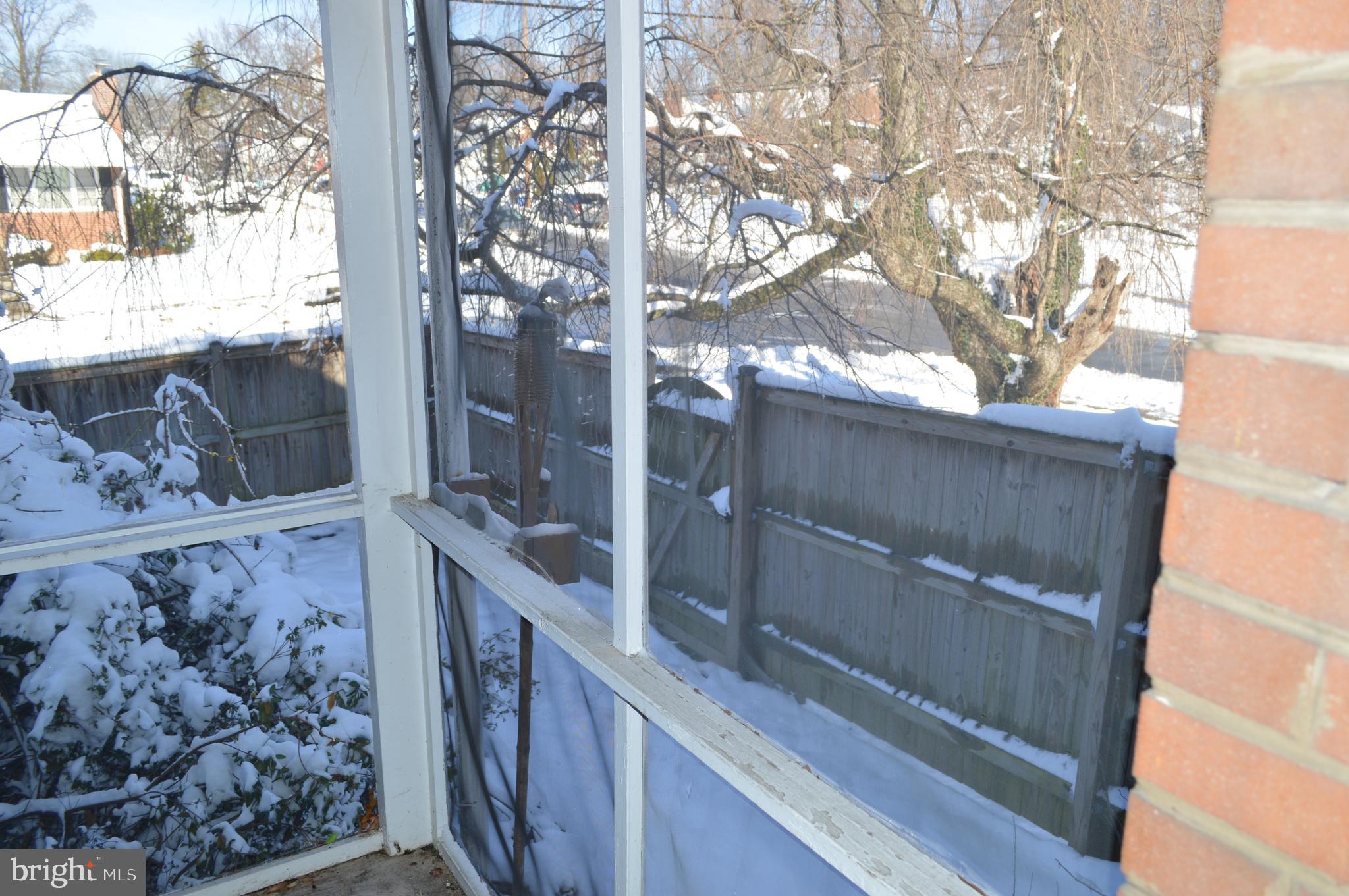 10110 Portland Road Silver Spring, MD 20901 - Photo 7 of 39 Fenced rear yard