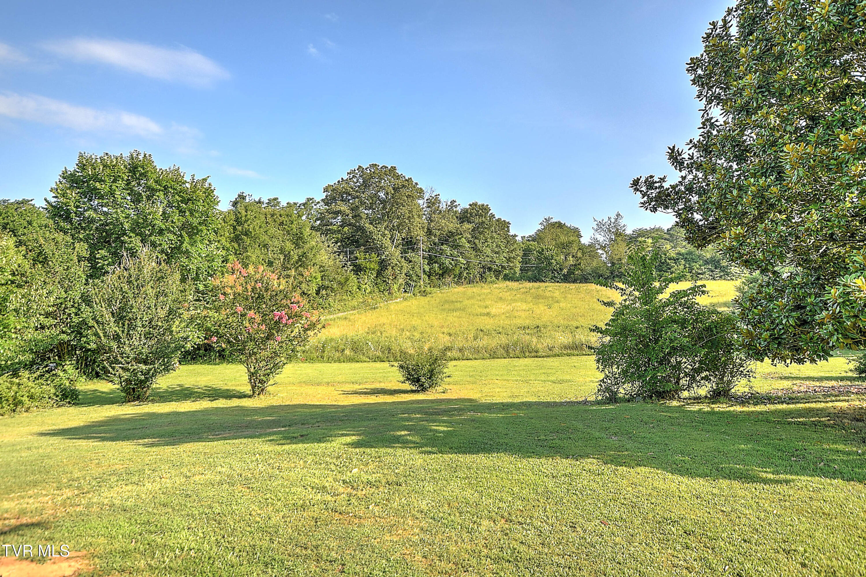 805 Dixie Road Greeneville, TN 37743 - Photo 7 of 63 805 Dixie JK-34