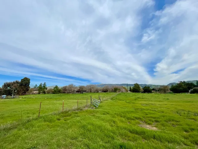 a black and white photo of a painting