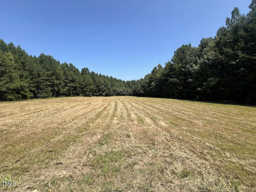 1 Virgilina Road Roxboro, NC 27574 - Photo 1 of 63 38