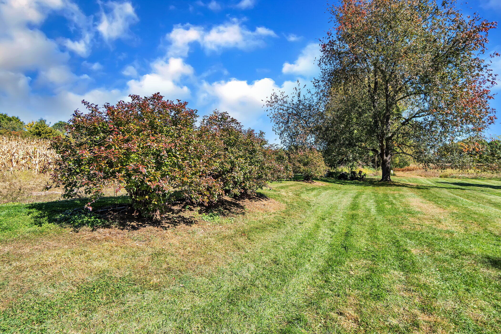 3505 Blackman Road Jackson, MI 49201 - Photo 41 of 51 3505-Blackman-Rd-WindowStill-Real-Estate