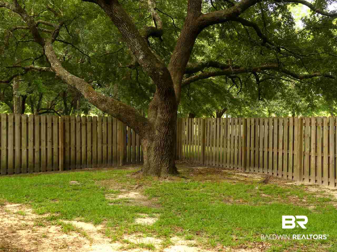 7117 Raintree Lane Gulf Shores, AL 36542 - Photo 19 of 23 Fenced Back Yard with Awe
