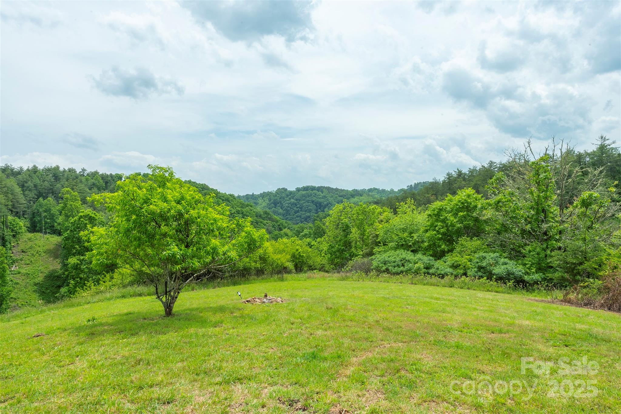 114 Kuykendall Road Alexander, NC 28701 - Photo 8 of 36 Gallery Image 8