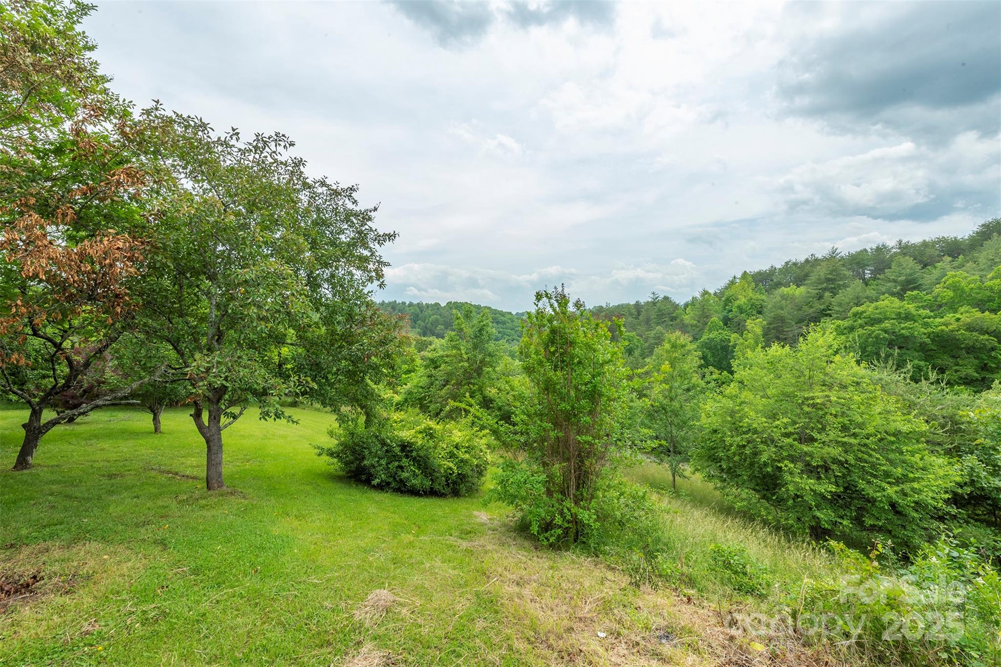 114 Kuykendall Road Alexander, NC 28701 - Photo 9 of 36 Gallery Image 9