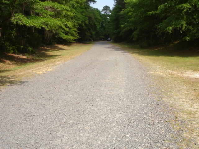 3 Helen Black Road Hollywood, SC 29449 - Photo 7 of 7 Rice Hope - Rock Road (1)
