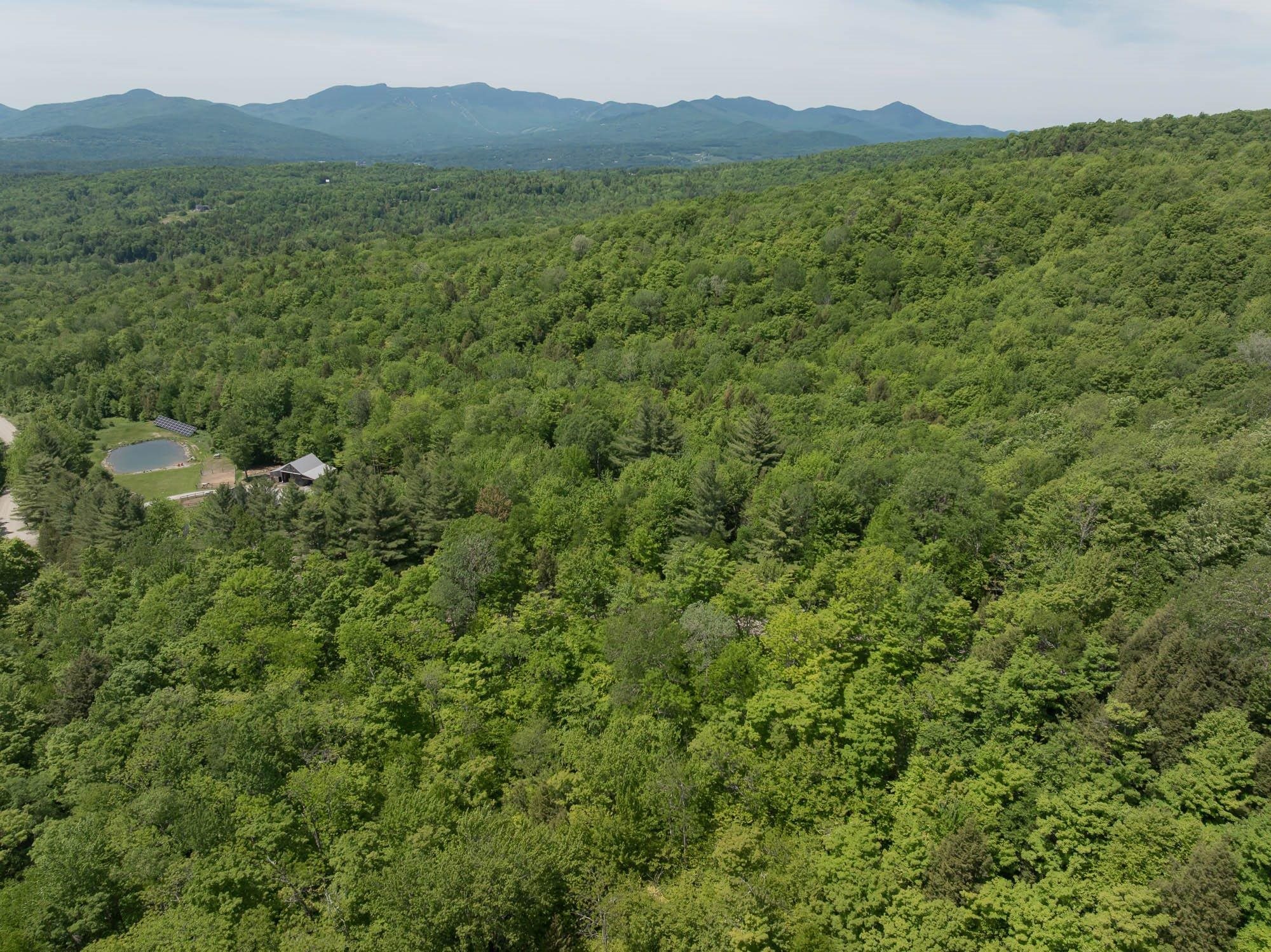 1243 North Hollow Road Stowe, VT 05672 - Photo 8 of 14