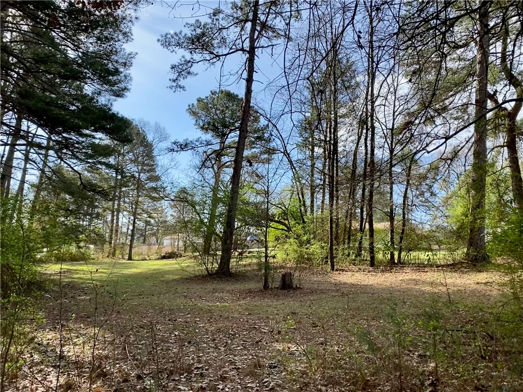 0 Horseshoe Road Central, SC 29630 - Photo 3 of 8