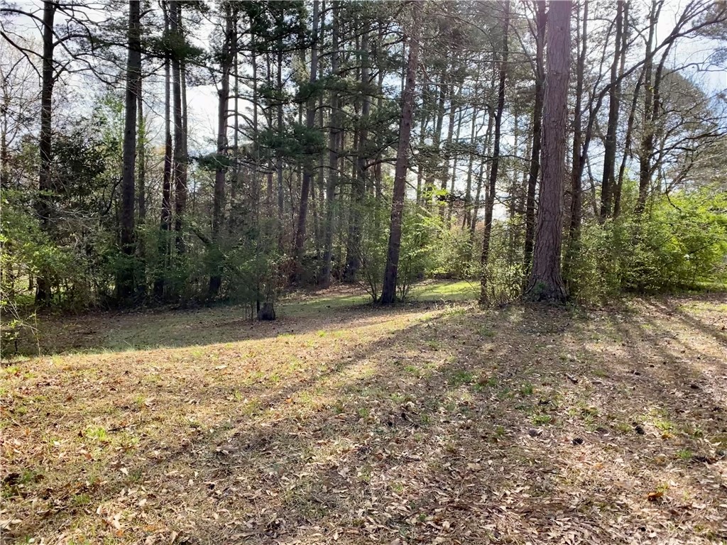 0 Horseshoe Road Central, SC 29630 - Photo 6 of 8