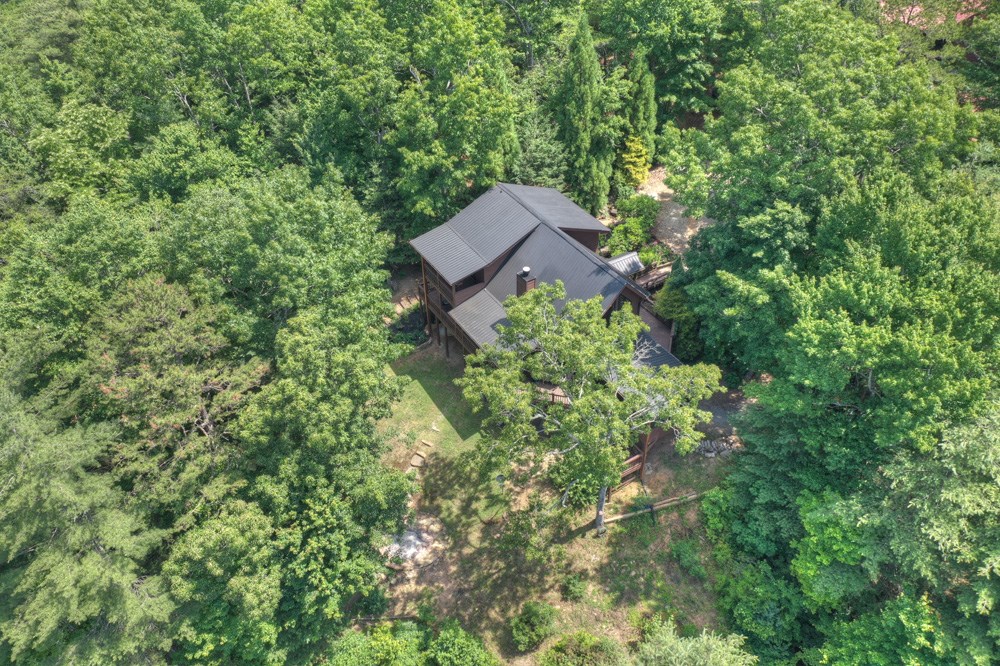 71 Tall Timber Mountain Way Blue Ridge, GA 30513 - Photo 61 of 70 Gallery Image 61