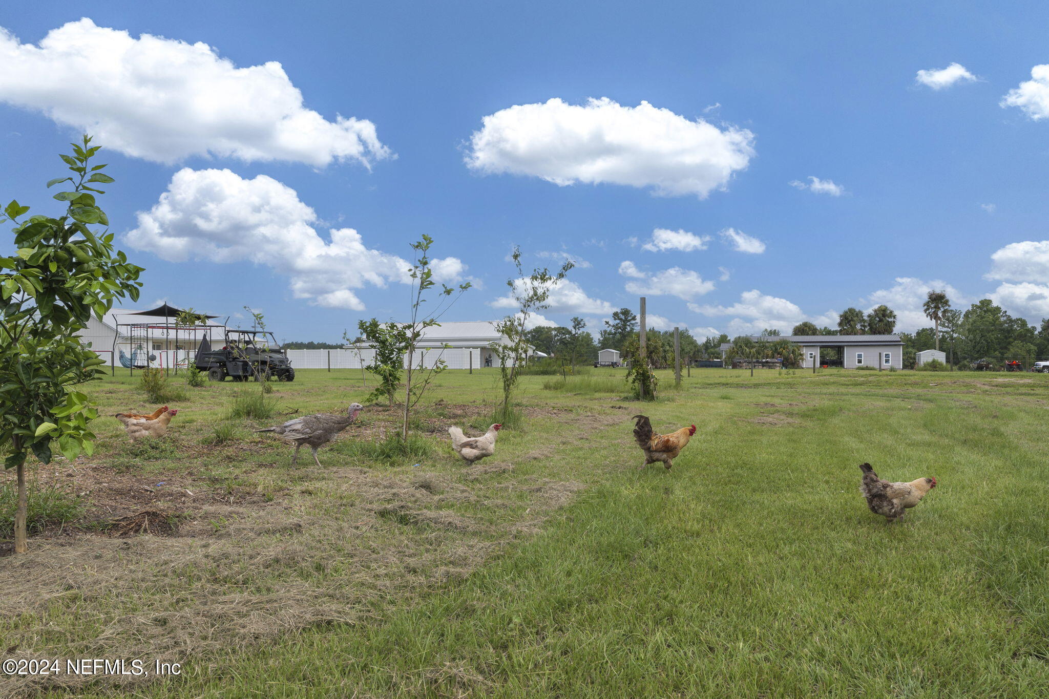 371270 Kings Ferry Road Hilliard, FL 32046 - Photo 38 of 45 Chicken coop on property