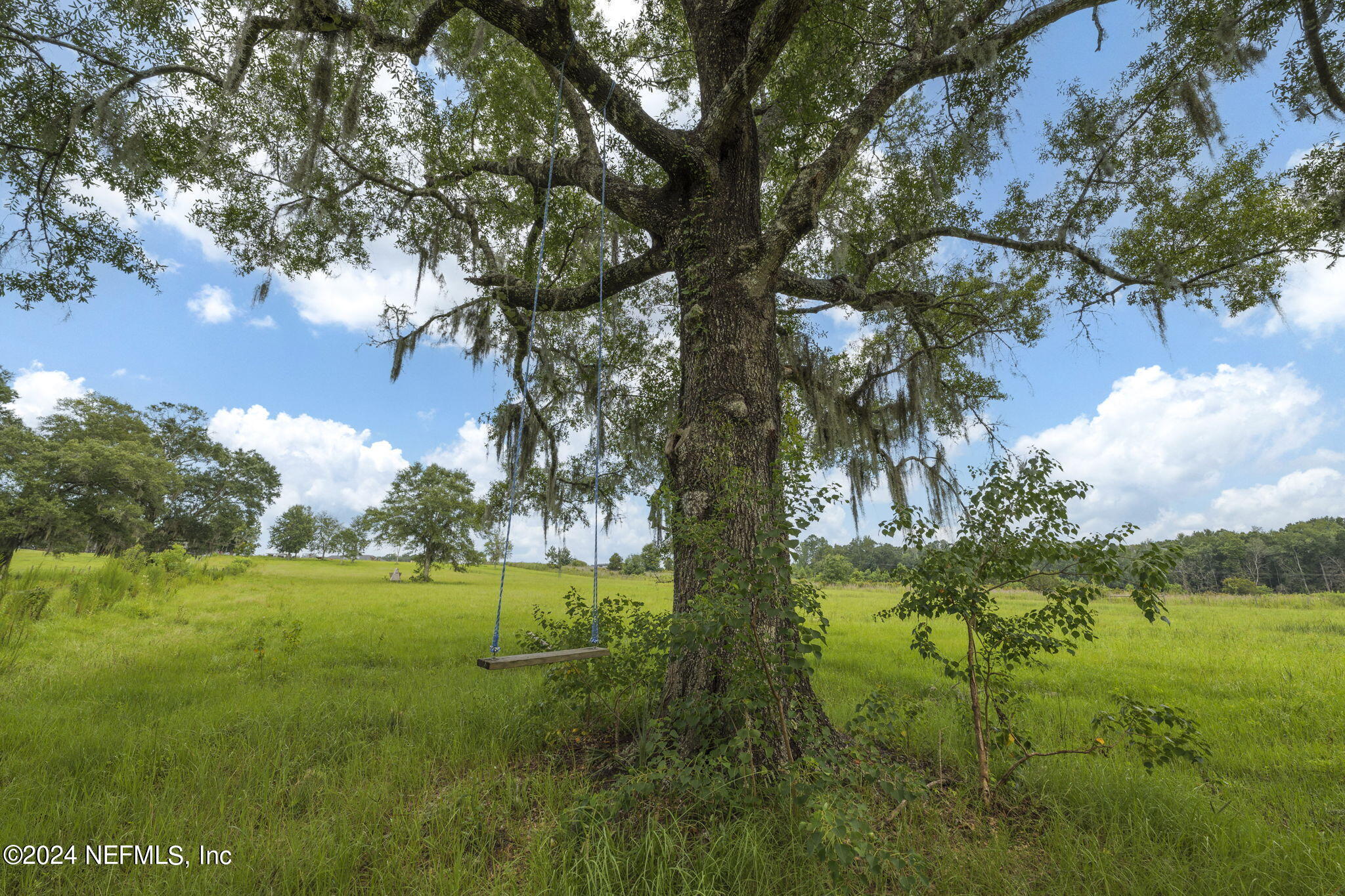 371270 Kings Ferry Road Hilliard, FL 32046 - Photo 39 of 45 Tree swing