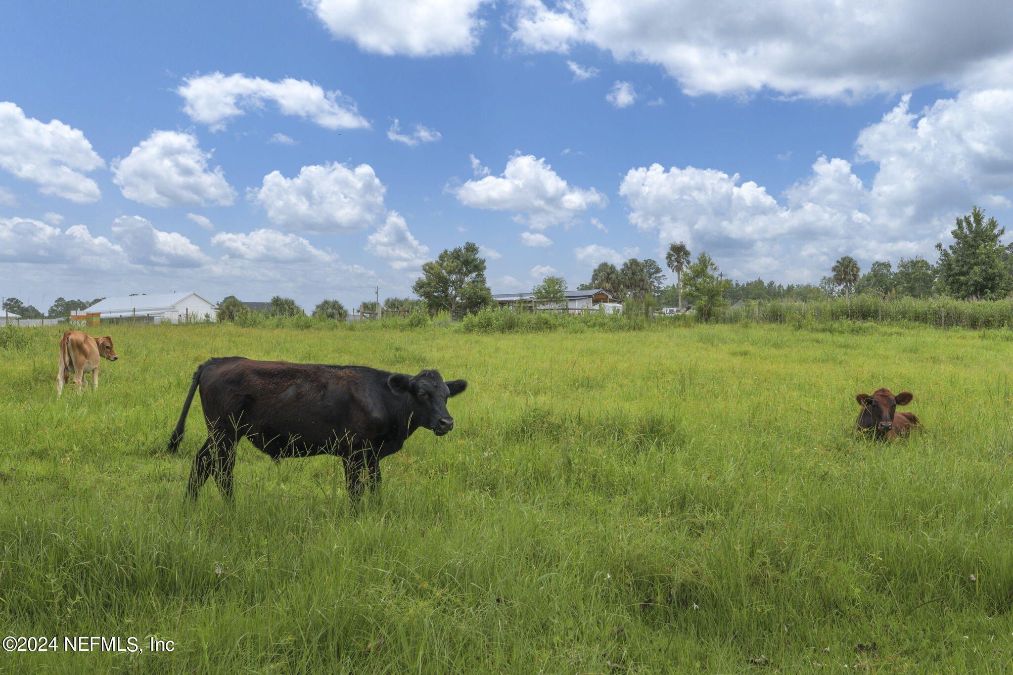 371270 Kings Ferry Road Hilliard, FL 32046 - Photo 42 of 45 Rear cow pasture