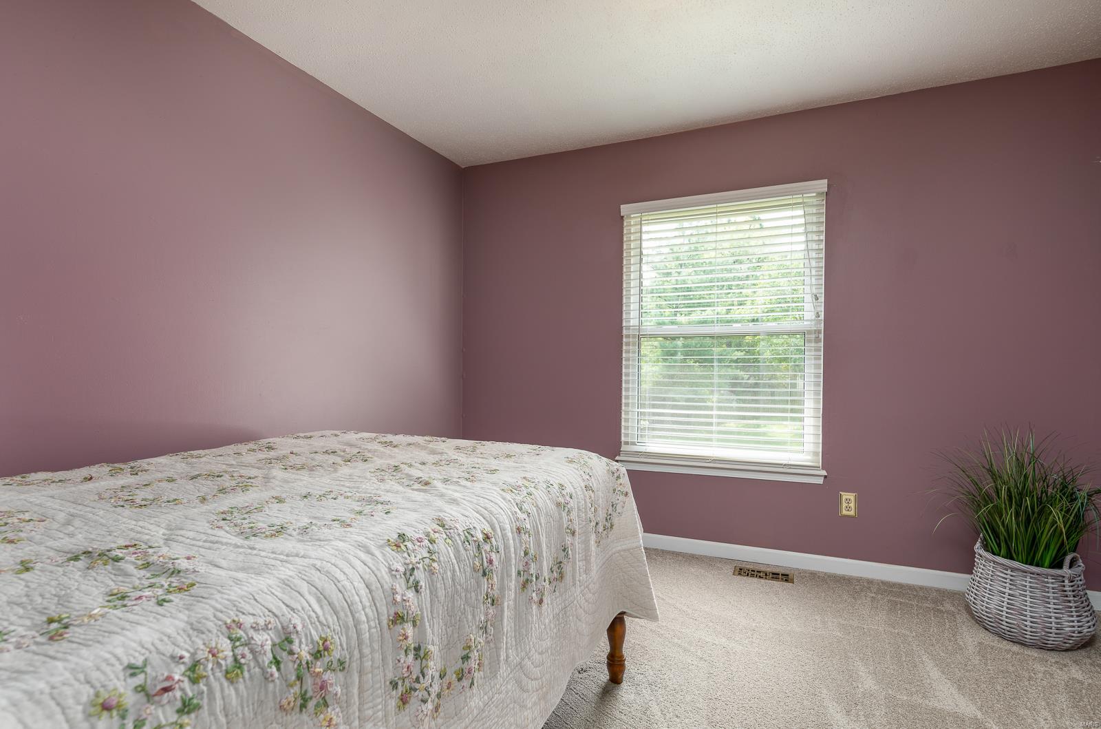 208 Cleta Court Ballwin, MO 63021 - Photo 17 of 34 Gallery Image 17