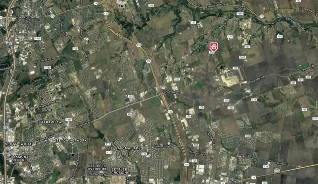 a view of flowers in a tree