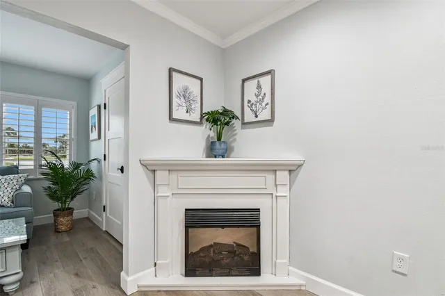 a living room with furniture potted plant and wooden floor