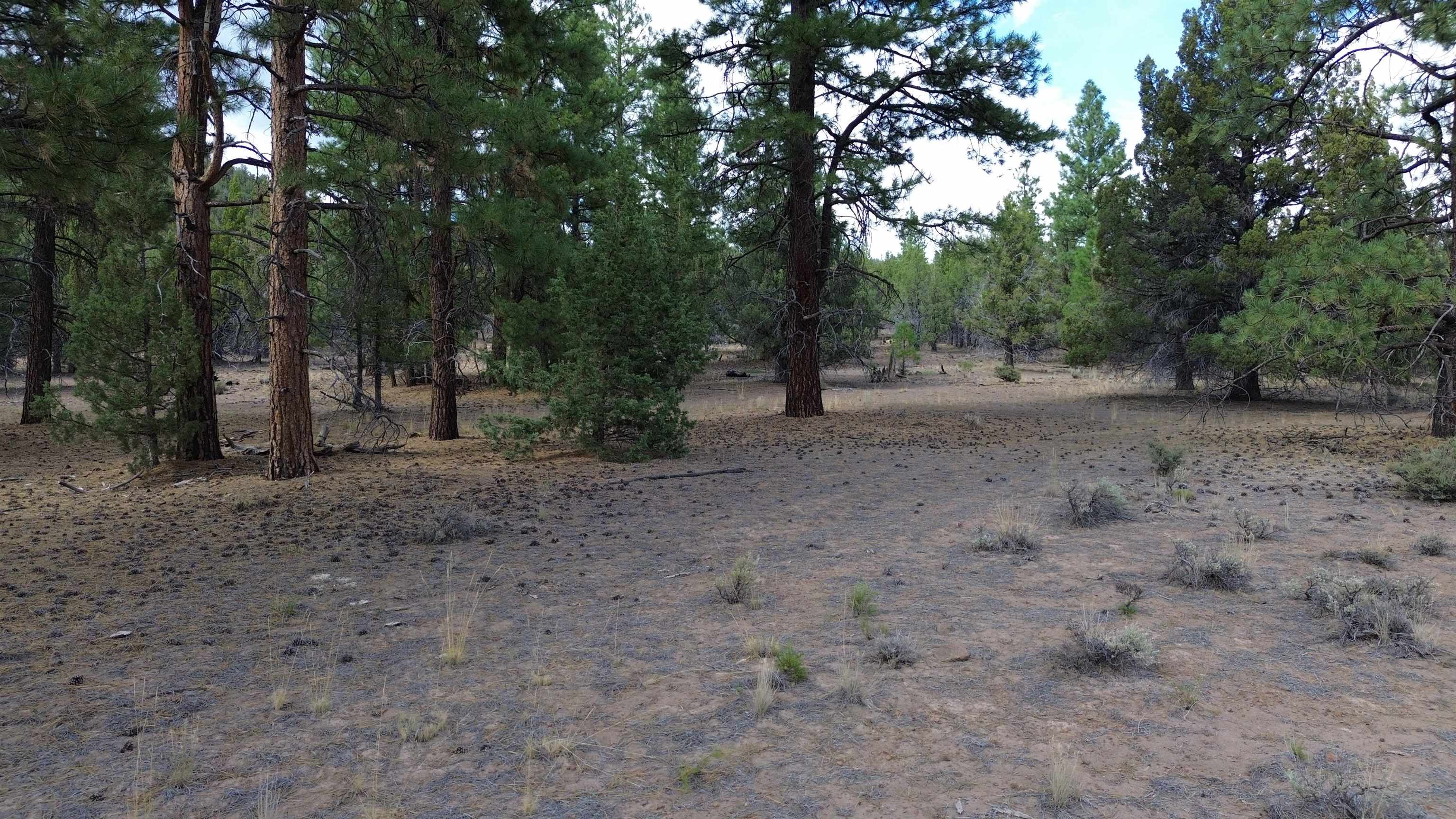 Robison Road Macdoel, CA 96058 - Photo 13 of 30 Gallery Image 13