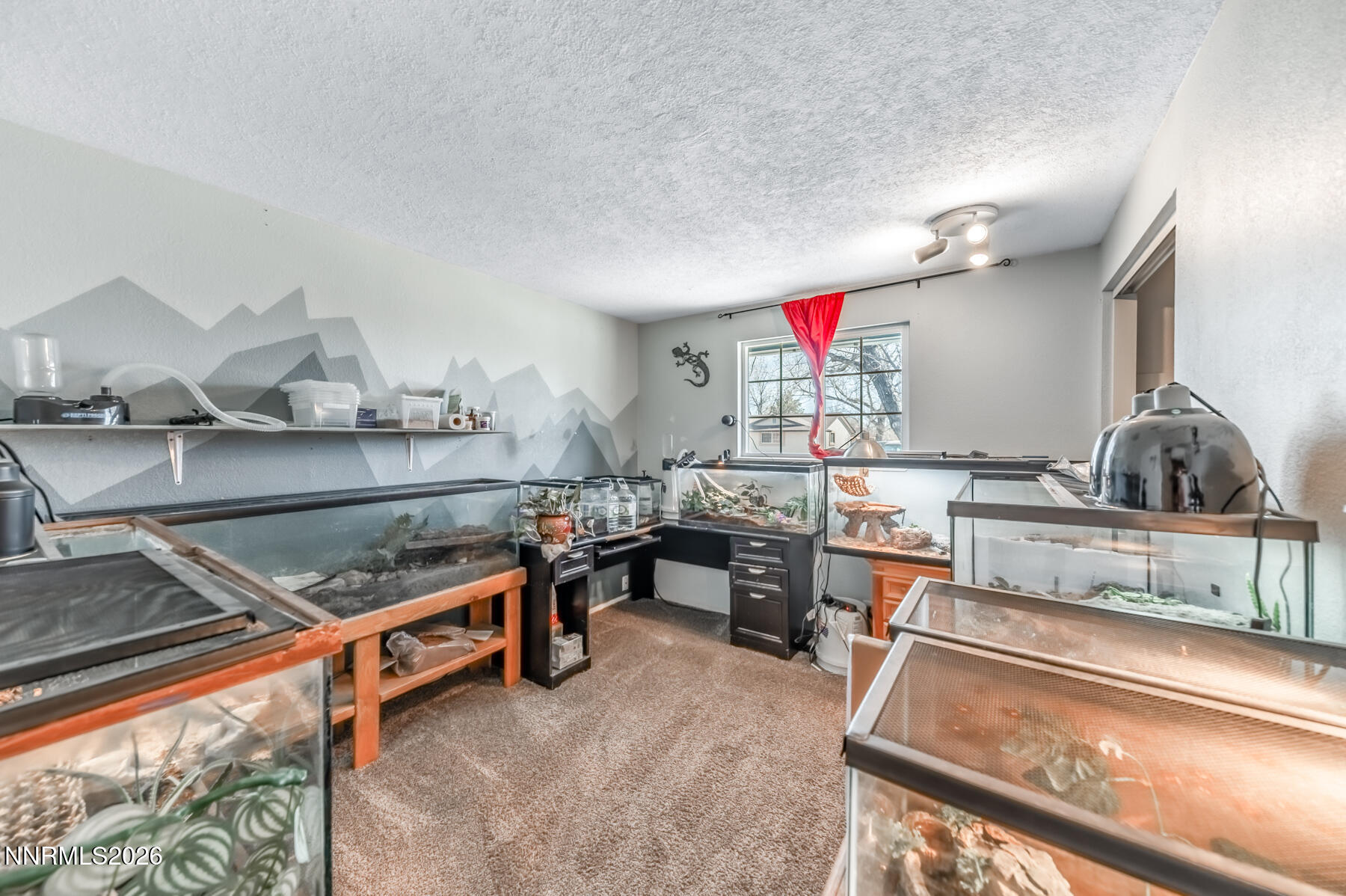 370 Maple Street Fernley, NV 89408 - Photo 20 of 32 a room with stainless steel appliances kitchen island granite countertop a sink and a stove
