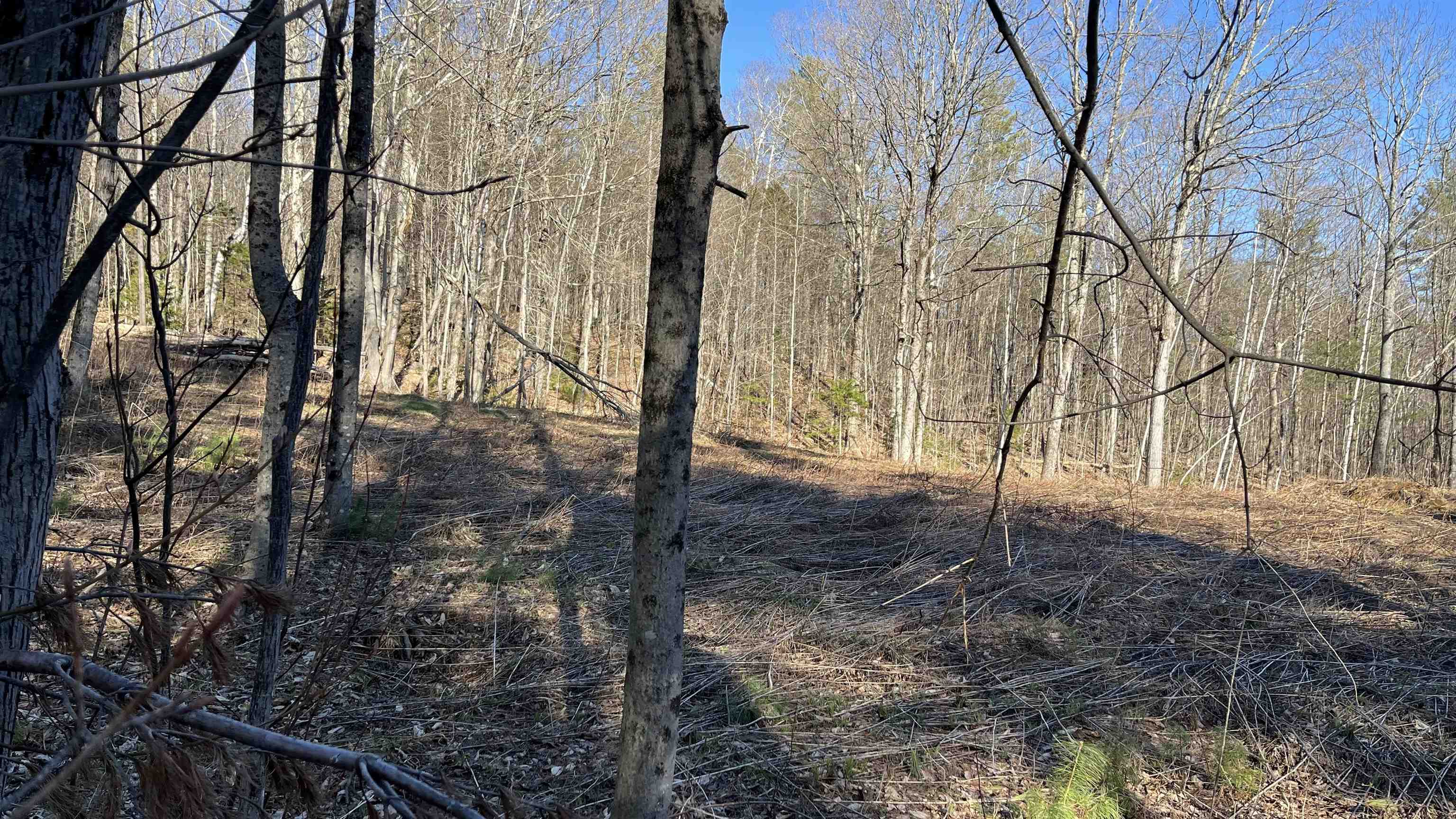 Dix Hill Road, Unit 23 Ludlow, VT 05149 - Photo 23 of 28