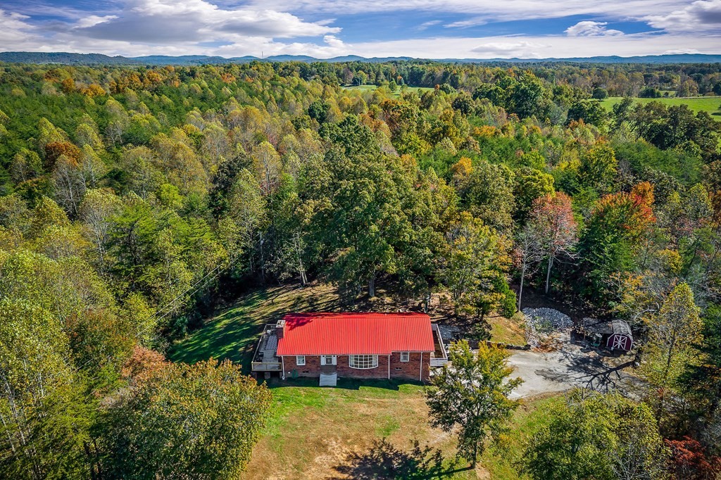 209 Lankford Road Cookeville, TN 38506 - Photo 3 of 38 a view of a lush green field with lots of bushes