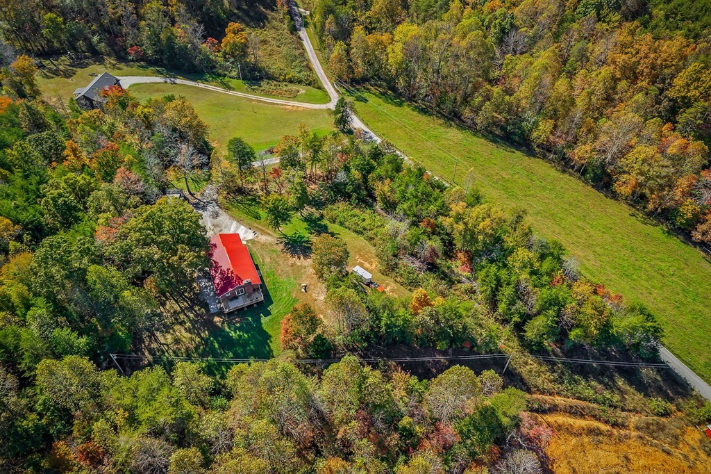 209 Lankford Road Cookeville, TN 38506 - Photo 31 of 38 a view of a lake with a yard and a large tree
