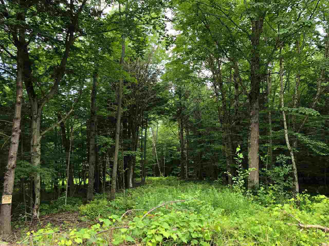 250 Lower Road Plainfield, VT 05667 - Photo 1 of 11