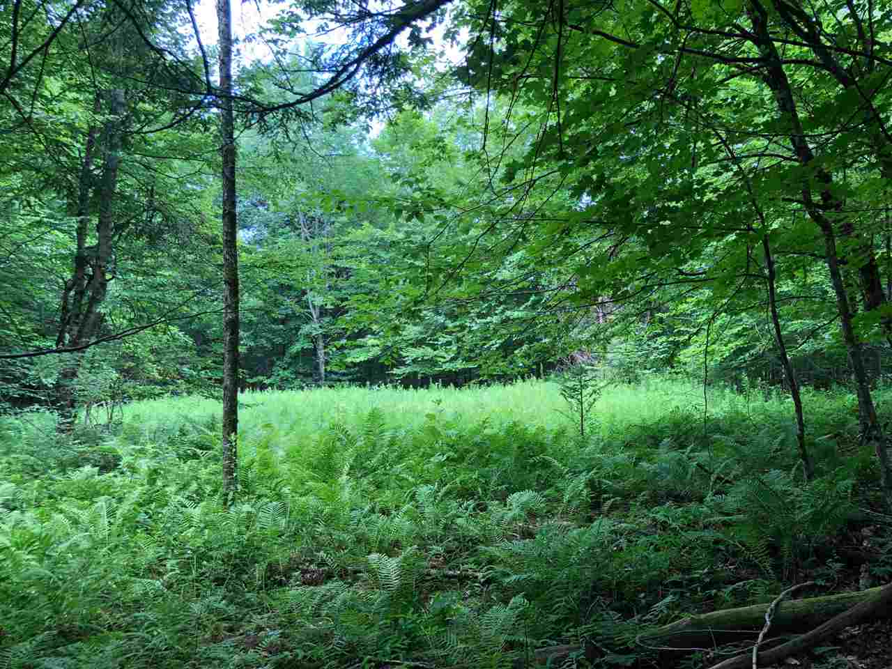 250 Lower Road Plainfield, VT 05667 - Photo 2 of 11