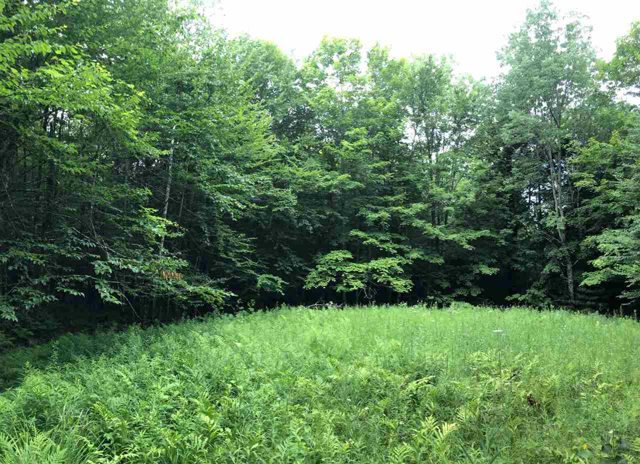 250 Lower Road Plainfield, VT 05667 - Photo 11 of 11