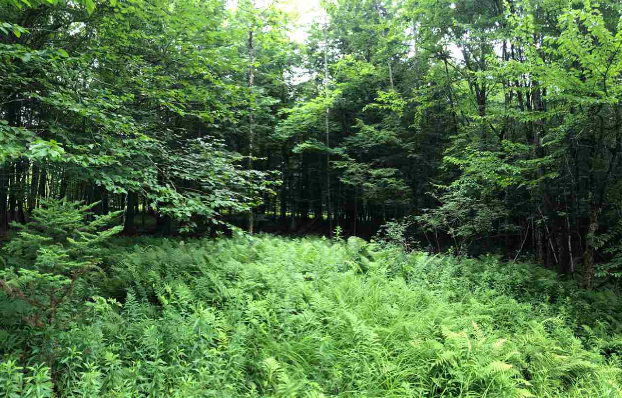 250 Lower Road Plainfield, VT 05667 - Photo 4 of 11