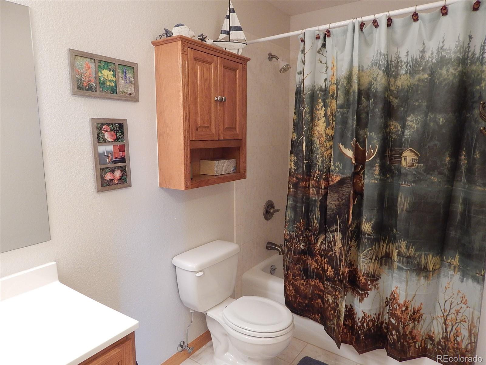 1229 Sheep Ridge Road Fairplay, CO 80440 - Photo 16 of 35 Gallery Image 16