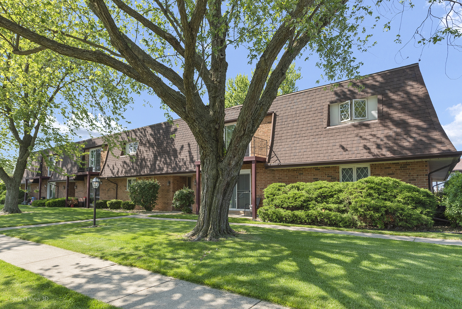 1019 Shagbark Road, Unit 2E New Lenox, IL 60451 - Photo 1 of 12 Gallery Image 1