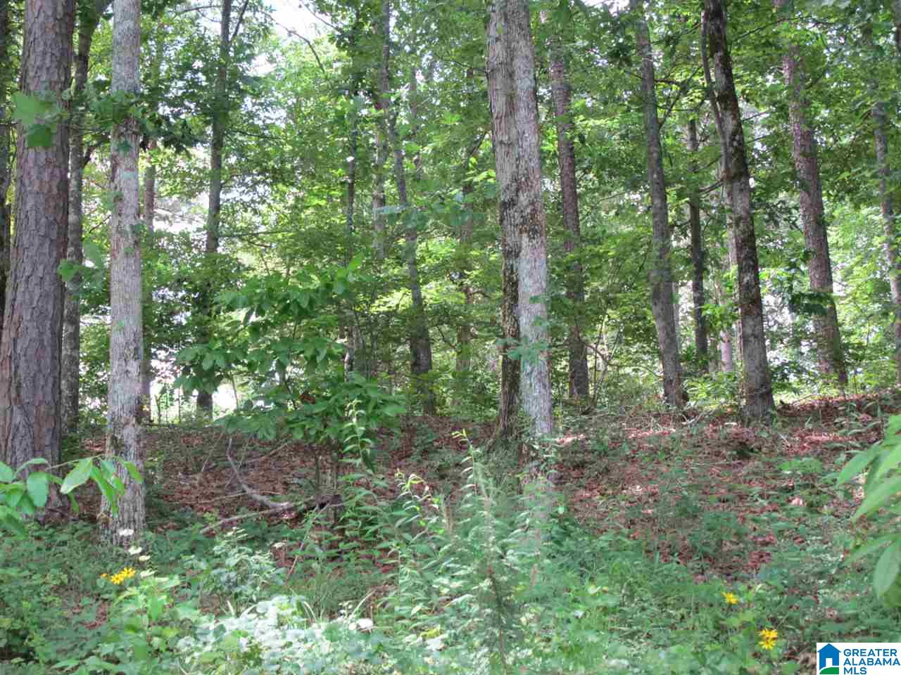 0 Knock About Lane Wedowee, AL 36278 - Photo 2 of 3