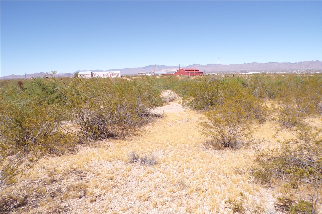 1386 Don Luis Road Golden Valley, AZ 86413 - Photo 12 of 47 Expansive desert landscape with natural vegetation and distant mountain views