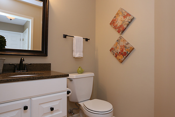 2323 Snapdragon Road Naperville, IL 60564 - Photo 13 of 25 Gallery Image 13