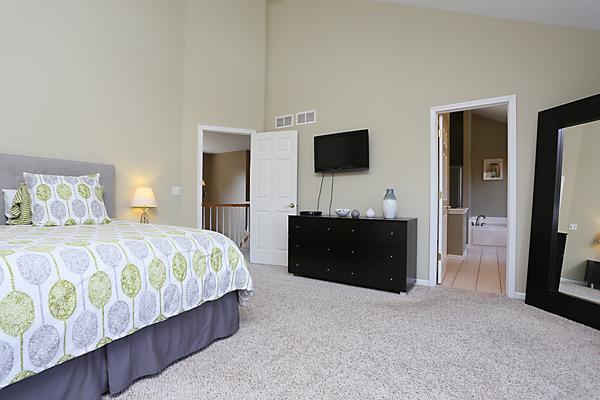 2323 Snapdragon Road Naperville, IL 60564 - Photo 14 of 25 Gallery Image 14
