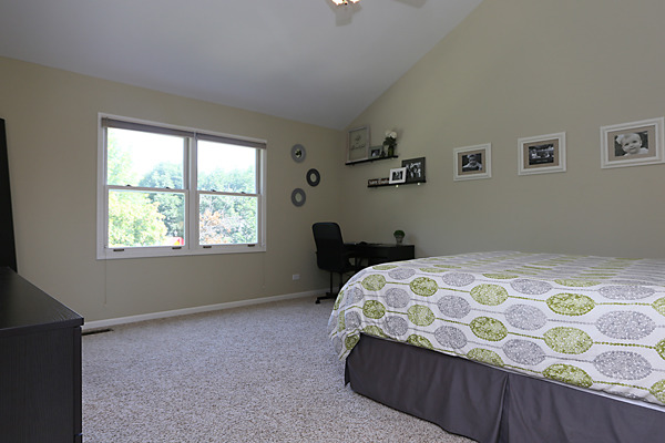 2323 Snapdragon Road Naperville, IL 60564 - Photo 15 of 25 Gallery Image 15