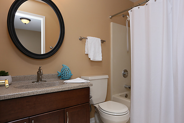 2323 Snapdragon Road Naperville, IL 60564 - Photo 18 of 25 Gallery Image 18