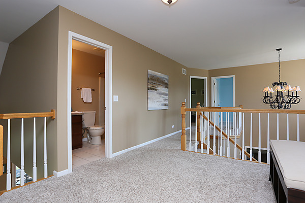 2323 Snapdragon Road Naperville, IL 60564 - Photo 21 of 25 Gallery Image 21