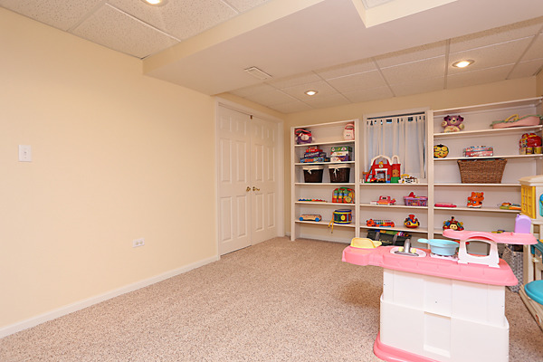 2323 Snapdragon Road Naperville, IL 60564 - Photo 23 of 25 Gallery Image 23
