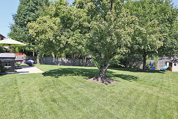 2323 Snapdragon Road Naperville, IL 60564 - Photo 24 of 25 Gallery Image 24