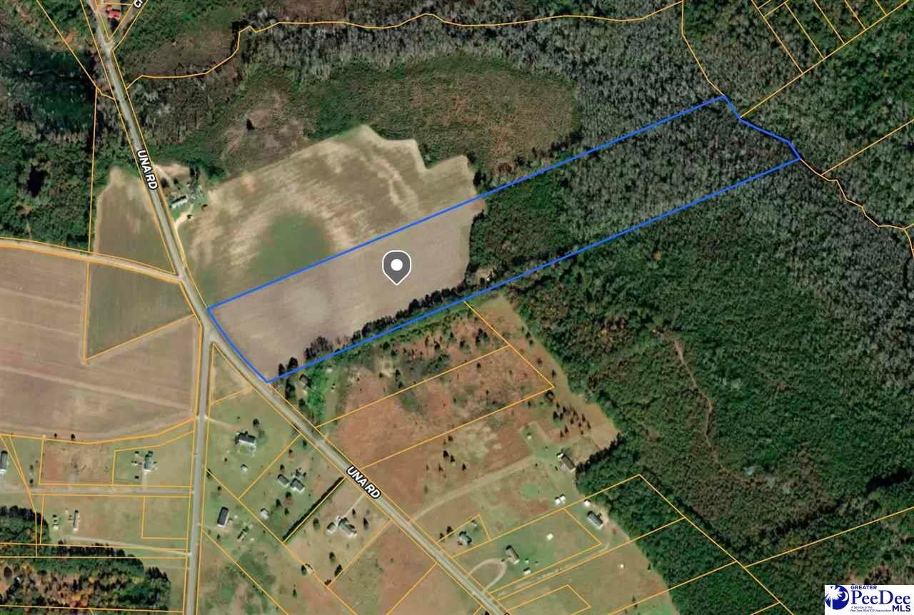 26-acres Una Road Lamar, SC 29069 - Photo 1 of 14 Gallery Image 1