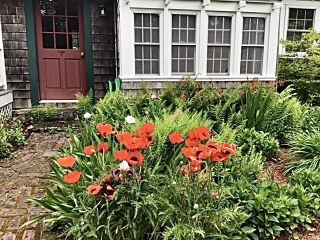 20 County Street Rehoboth, MA 02769 - Photo 4 of 42 Gallery Image 4