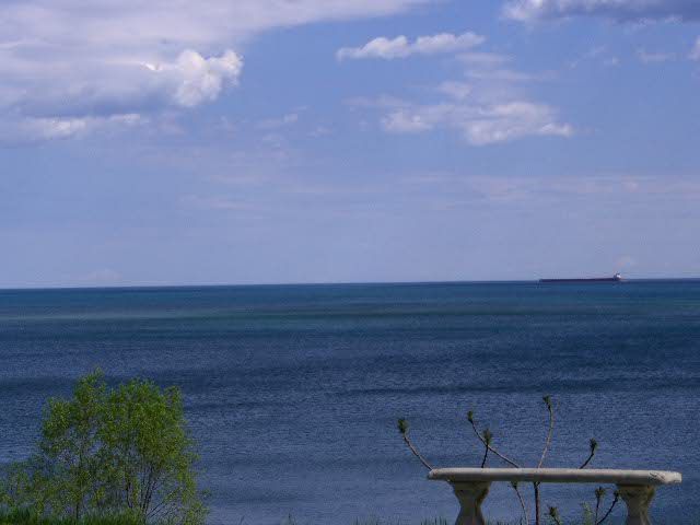 7231 Laurel Road Lexington, MI 48450 - Photo 3 of 9 31004065-2.JPG
