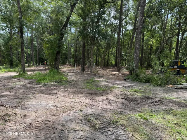 a view of a yard with tree s